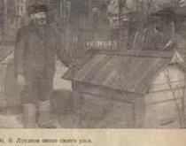 1950 года Лупанов и Улей Лупанова