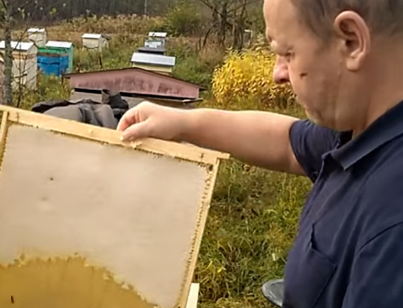 Пчёлы с матками 2022 года на 4-6 рамках Лазутина. Только с ульями.